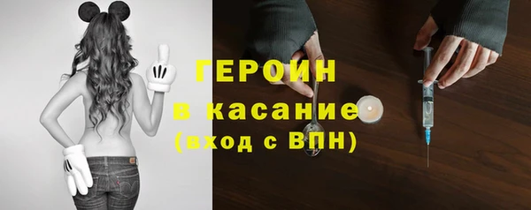 стафф Арсеньев