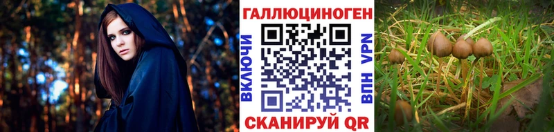 кракен tor  Первомайск  Галлюциногенные грибы Magic Shrooms 